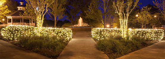 Fountain garden lighting Christmas lights cover hedges and tree trunks beside a fountain garden walkway.