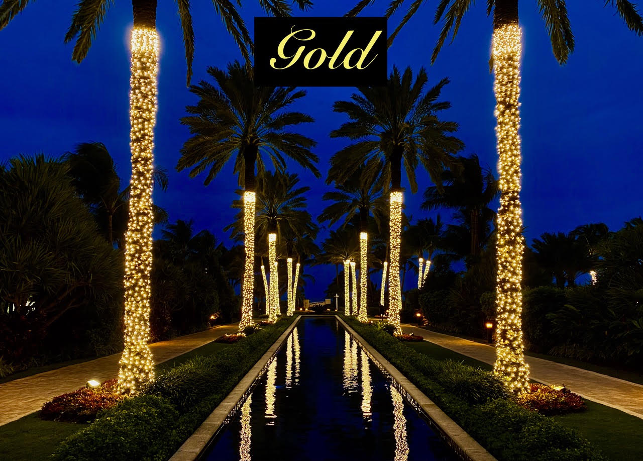 Gold palm-trunk lighting Gold Christmas lights wrapped around palm trunks beside a reflecting pool.
