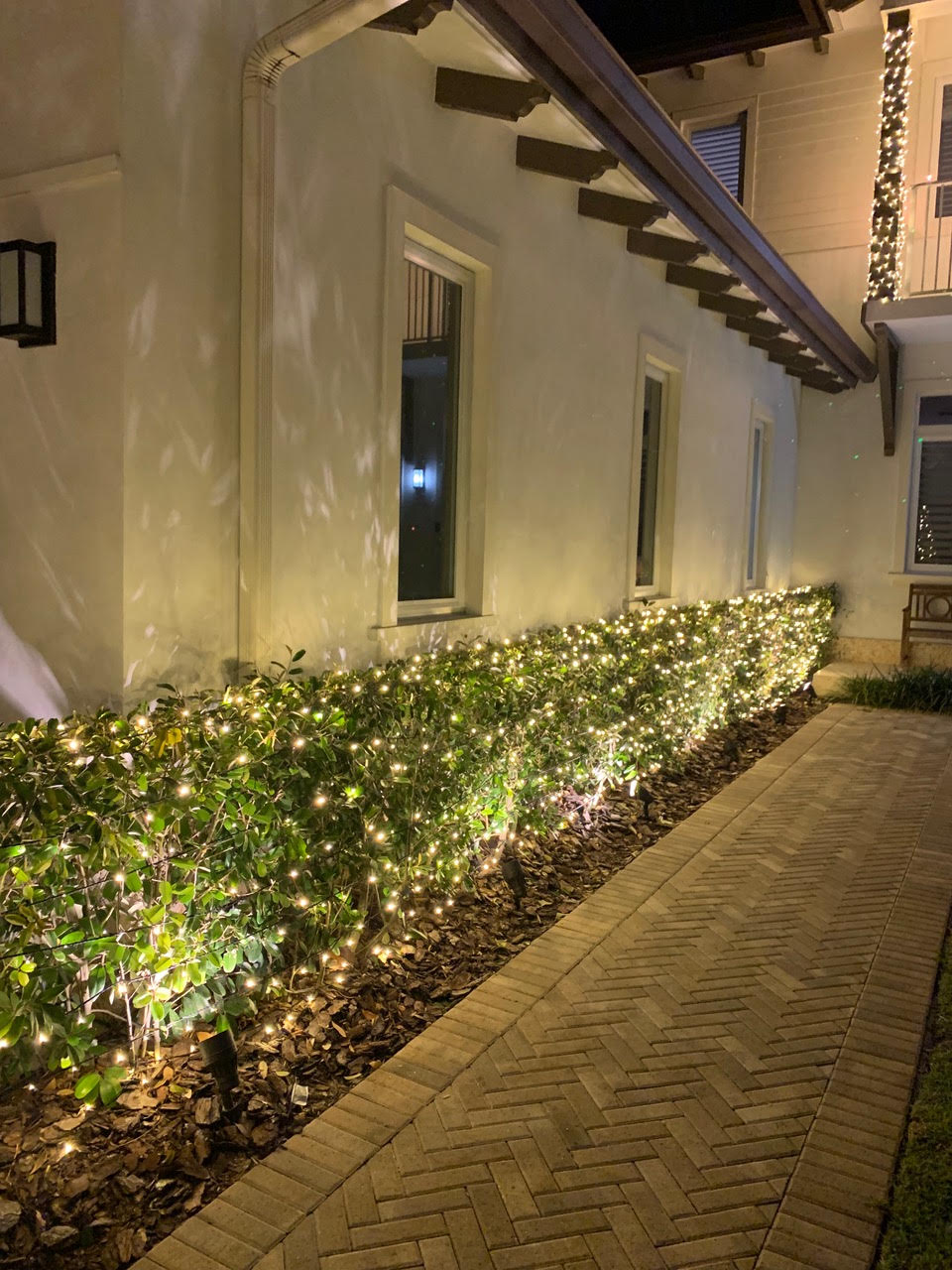 House walkway and hedge lighting White Christmas lights spread across a hedge beside a house walkway.