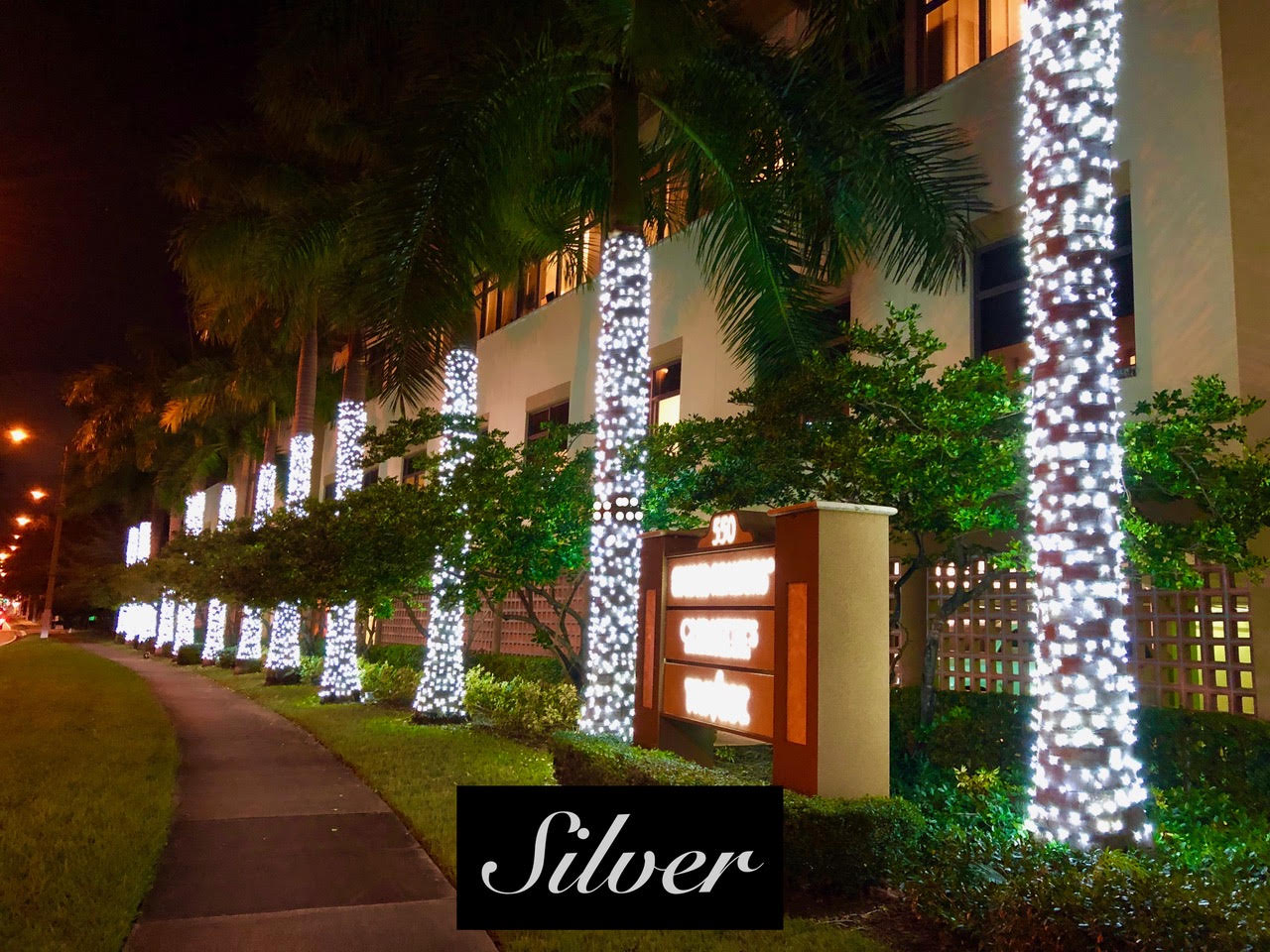 Silver sidewalk lighting Silver Christmas lights wrap palm trunks along a sidewalk outside a building.