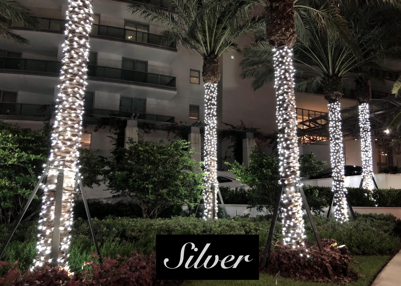 Silver palm-trunk lighting Silver Christmas lights wrapped around palm trunks in a landscaped garden.