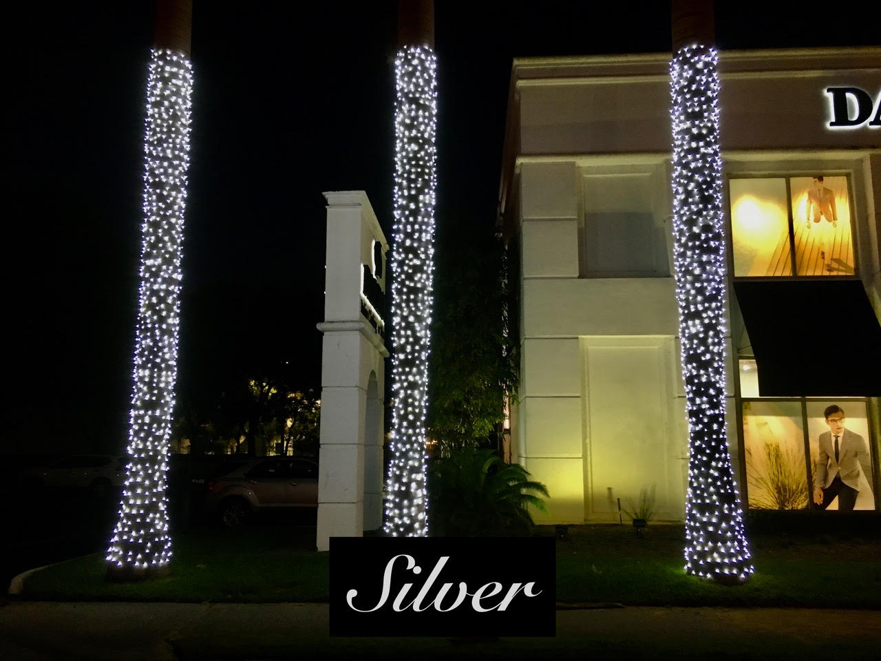 Silver storefront lighting Silver Christmas lights wrap three palm trunks in front of a storefront.