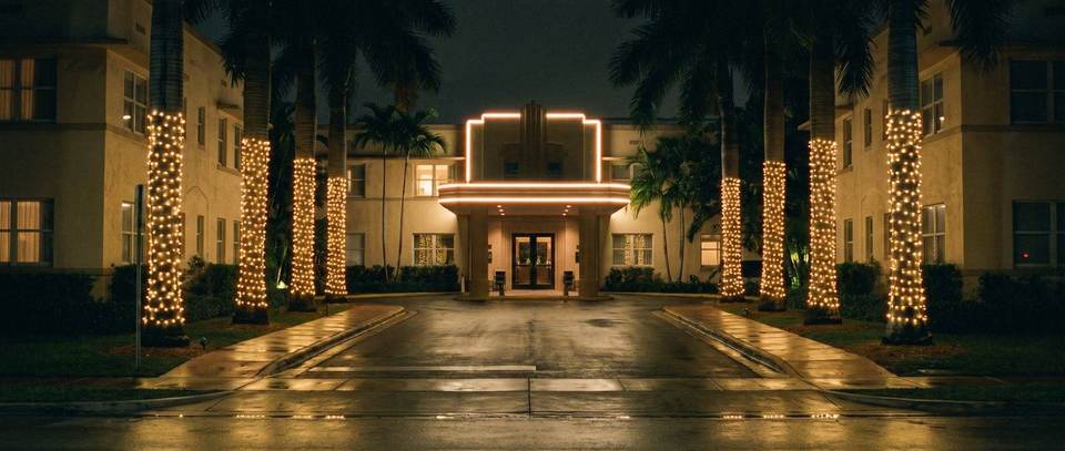 Hotel entrance palms, Biscayne Boulevard, Miami: warm white Christmas lighting idea for Miami, FL from Mr. Christmas Lights, (786) 228-6649