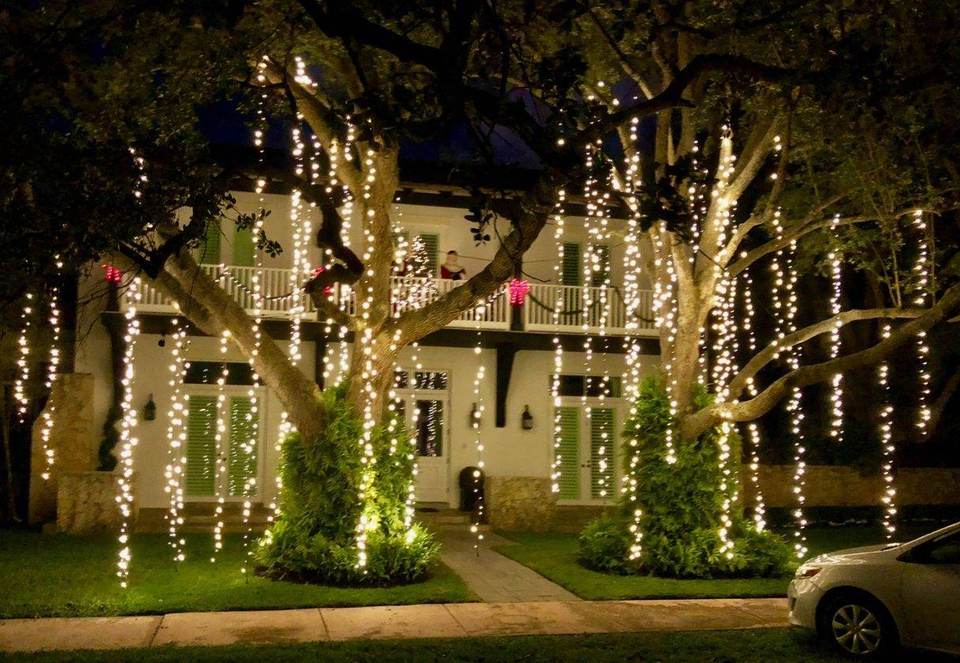 Hanging curtain Christmas lights, Miami home White hanging curtain Christmas lights cascading through oak trees at a Miami home, Mr. Christmas Lights installation