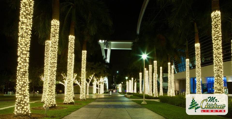 Palm-lined drive Palm-lined drive: real Christmas light installation by Mr. Christmas Lights in Miami, FL, (786) 228-6649