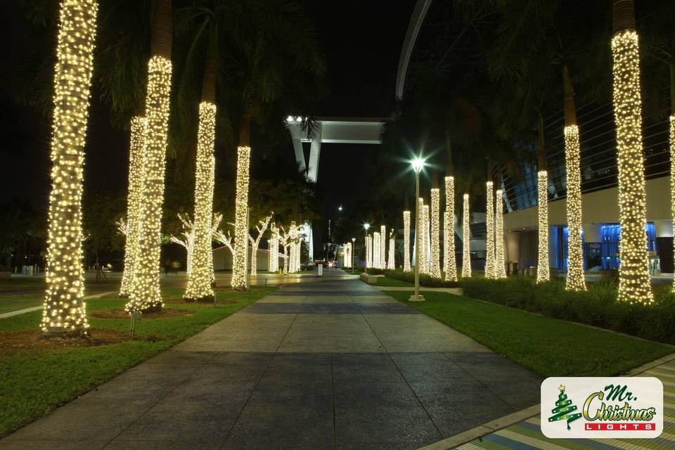 Palm-lined street Palm-lined street: real Christmas light installation by Mr. Christmas Lights in Miami, FL, (786) 228-6649
