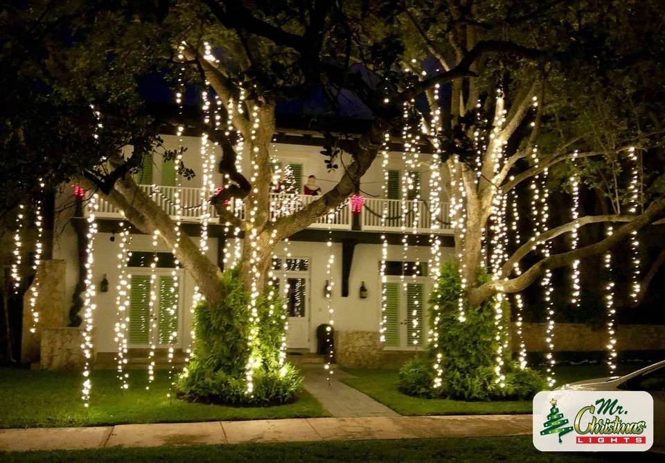 Hanging curtain lights through the oaks Hanging curtain lights through the oaks: real Christmas light installation by Mr. Christmas Lights in Miami, FL, (786) 228-6649