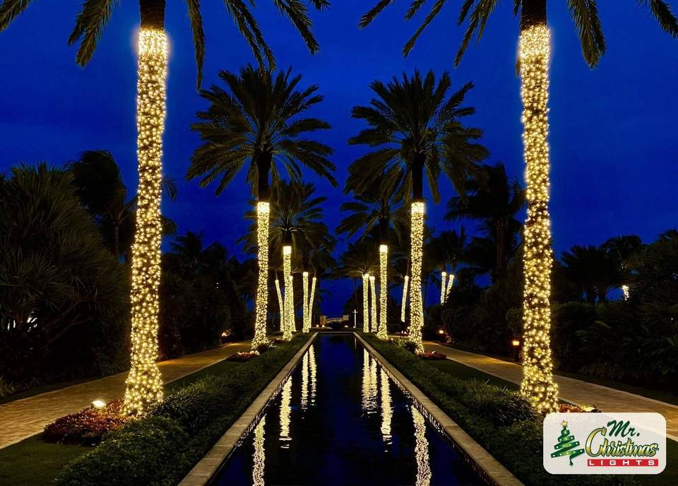 Palms at blue hour Palms at blue hour: real Christmas light installation by Mr. Christmas Lights in Miami, FL, (786) 228-6649
