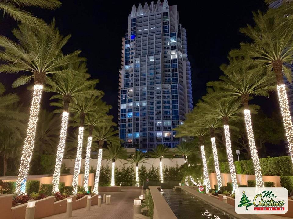 High-rise entrance palms High-rise entrance palms: real Christmas light installation by Mr. Christmas Lights in Miami, FL, (786) 228-6649