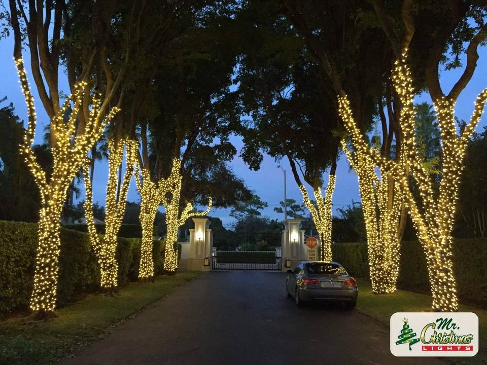 Palm-lined avenue Palm-lined avenue: real Christmas light installation by Mr. Christmas Lights in Miami, FL, (786) 228-6649