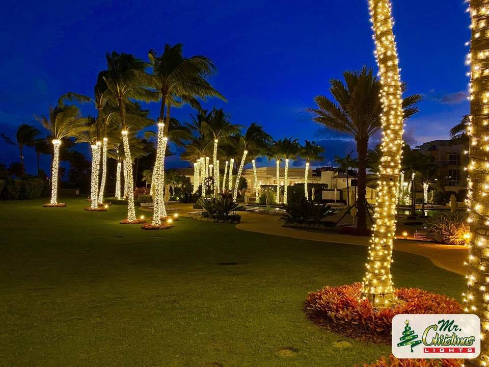 Palms over garden beds Palms over garden beds: real Christmas light installation by Mr. Christmas Lights in Miami, FL, (786) 228-6649