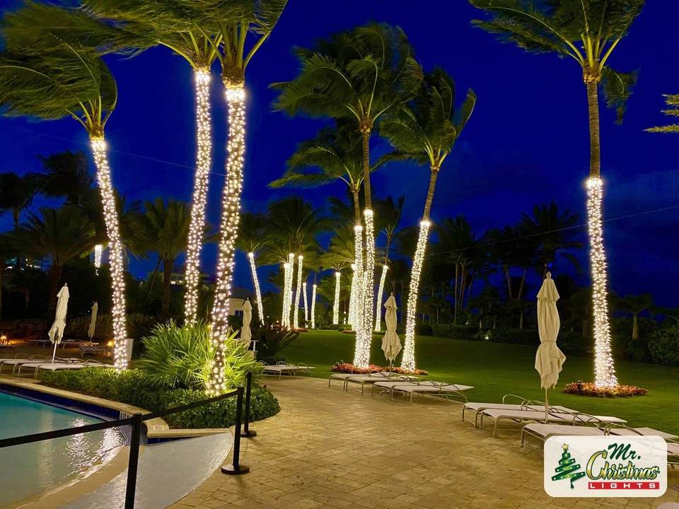 Waterfront palms Waterfront palms: real Christmas light installation by Mr. Christmas Lights in Miami, FL, (786) 228-6649