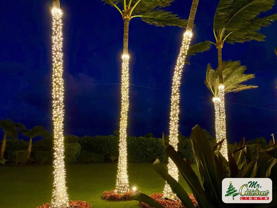 Palm row at dusk Palm row at dusk: real Christmas light installation by Mr. Christmas Lights in Miami, FL, (786) 228-6649