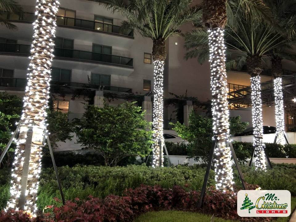 Condo garden palms Condo garden palms: real Christmas light installation by Mr. Christmas Lights in Miami, FL, (786) 228-6649