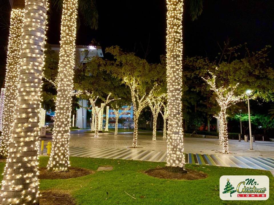 Palms on the lawn Palms on the lawn: real Christmas light installation by Mr. Christmas Lights in Miami, FL, (786) 228-6649