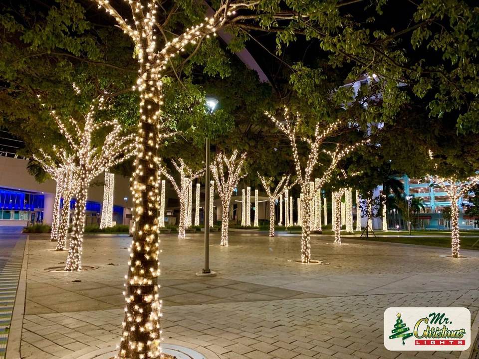 Courtyard canopy lights Courtyard canopy lights: real Christmas light installation by Mr. Christmas Lights in Miami, FL, (786) 228-6649
