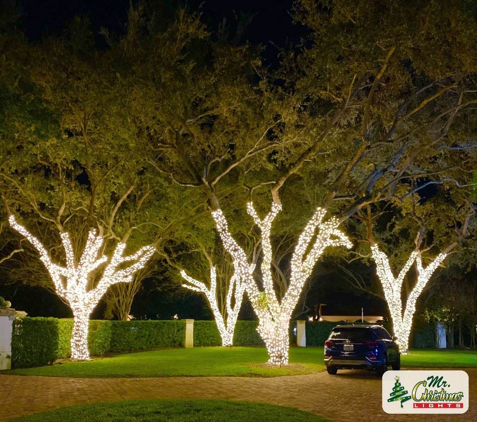 Shade tree canopy Shade tree canopy: real Christmas light installation by Mr. Christmas Lights in Miami, FL, (786) 228-6649