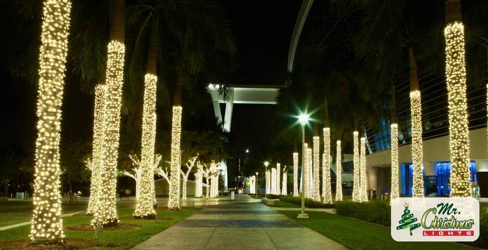 Commercial palm promenade Commercial palm promenade: real Christmas light installation by Mr. Christmas Lights in Miami, FL, (786) 228-6649