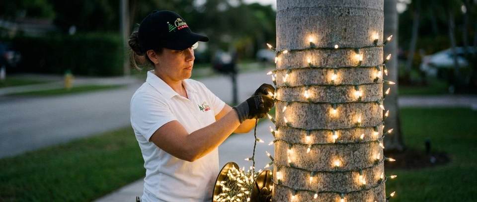 Palm tree light wrap installation, Miami Mr. Christmas Lights installer wrapping a palm tree trunk in warm white Christmas lights in Miami