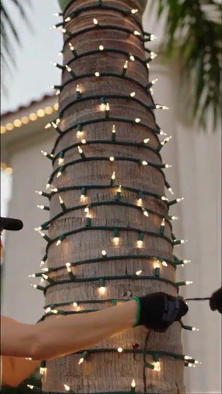 Planning a classic warm white Christmas display — film thumbnail
